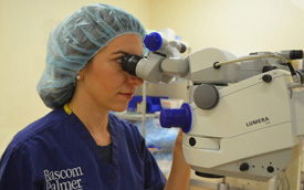 μεταμοσχευση κερατοειδους