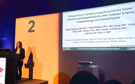 metamosxeush vlastokyttaron sto mati